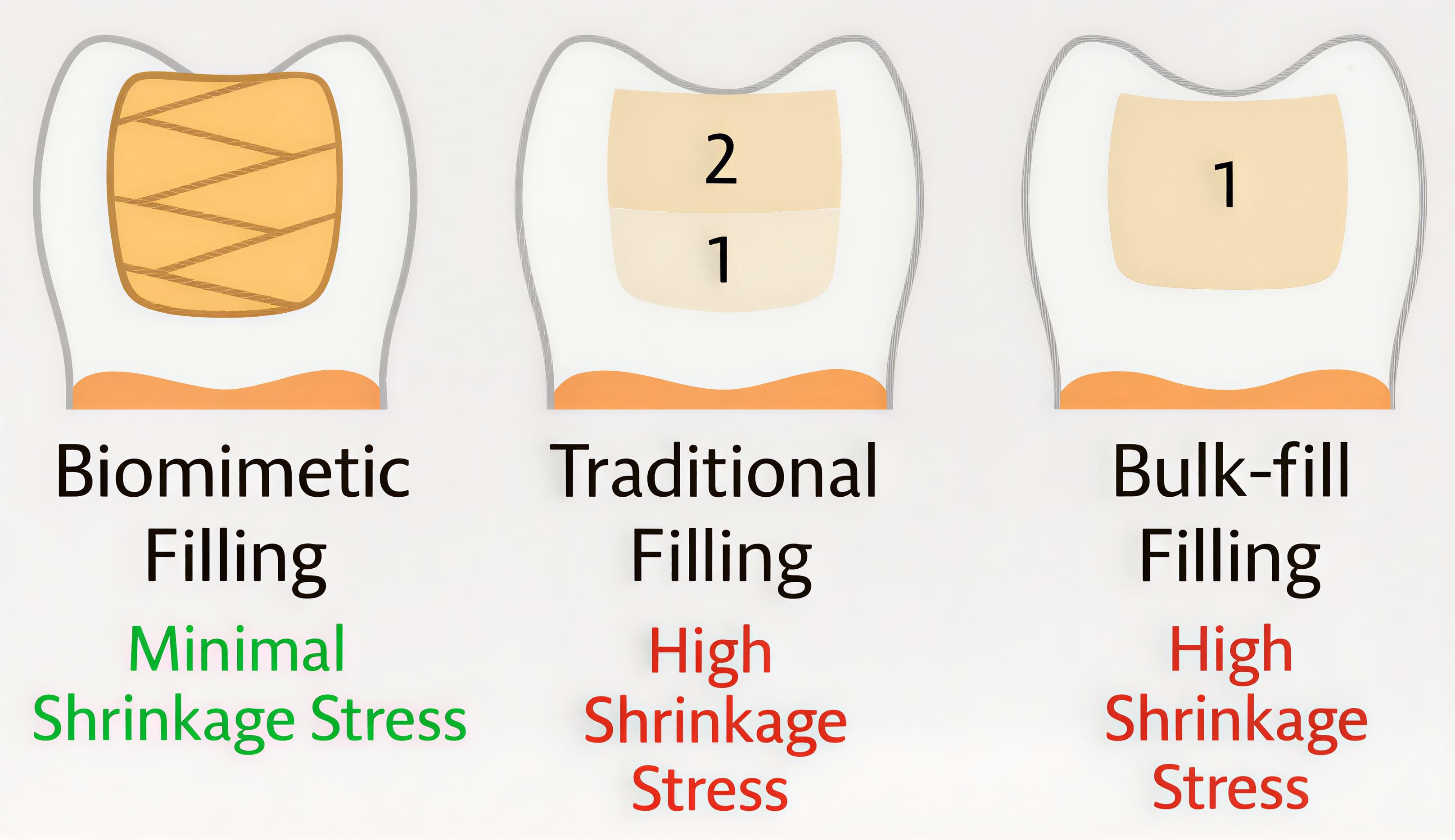 Pioneered Biomimetic Dentistry